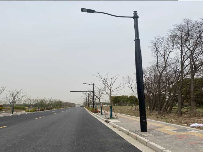 西塞山区上海综合杆 太阳能路灯工程